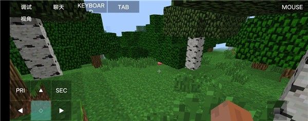 我的世界基岩版1.20