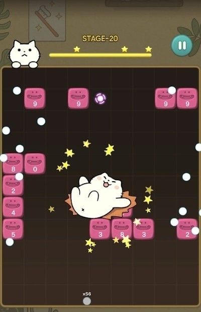 神秘的猫咪牙科