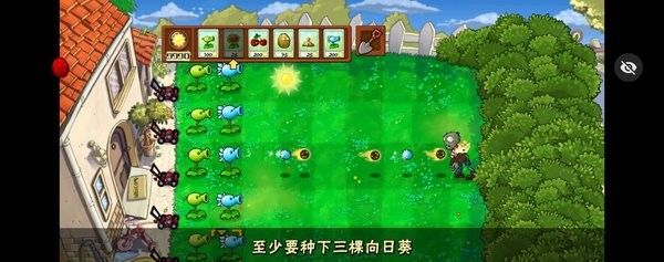 植物大战僵尸pvz
