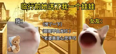 猫meme搞怪冒险