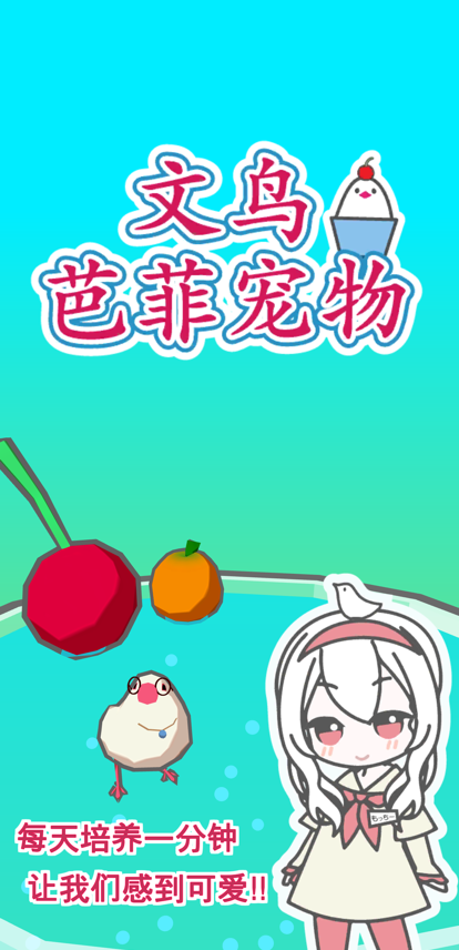 文鸟芭菲宠物