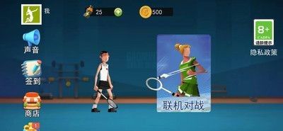 羽毛球大作战