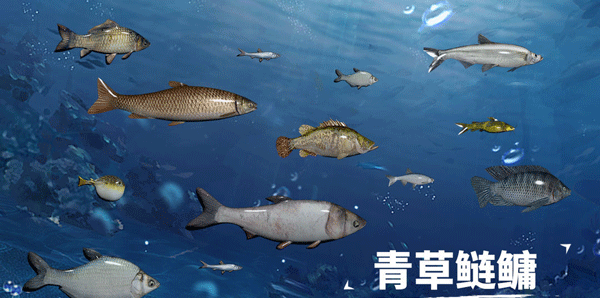 天天钓鱼