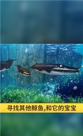 海洋3d蓝鲸模拟