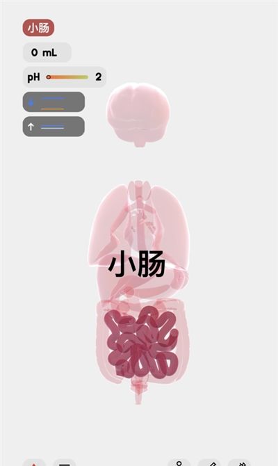 生命模拟器life汉化版