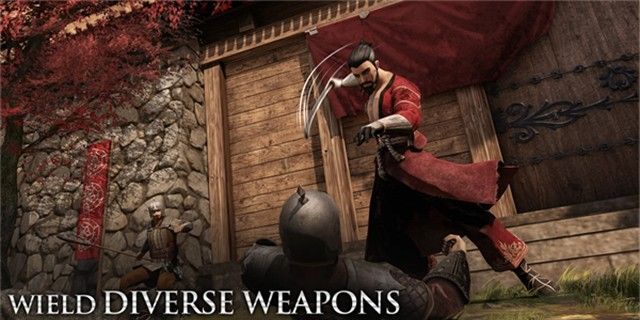 忍者武士隆