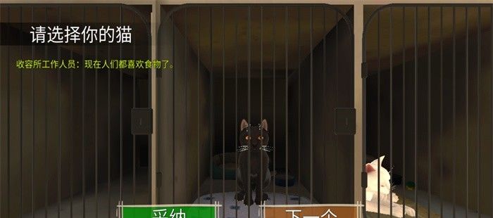 顽皮猫生活模拟