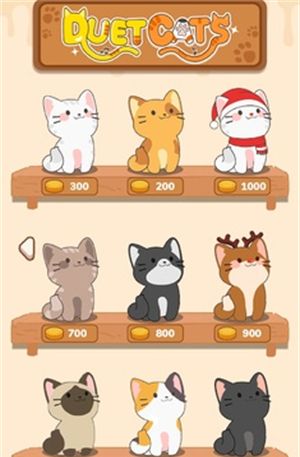 猫咪二重奏
