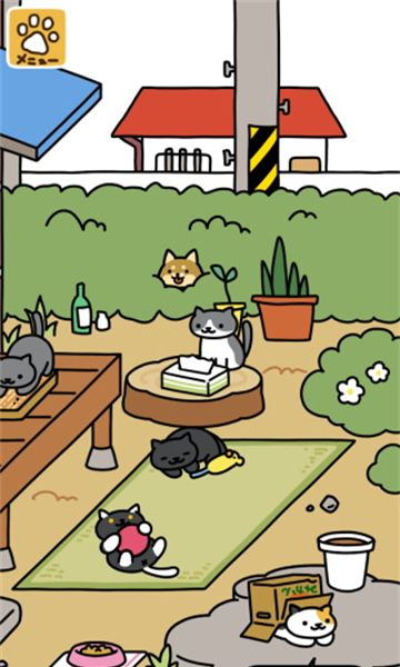 猫咪后院2