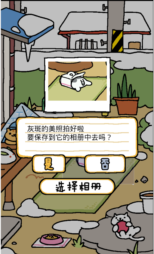 猫咪后院