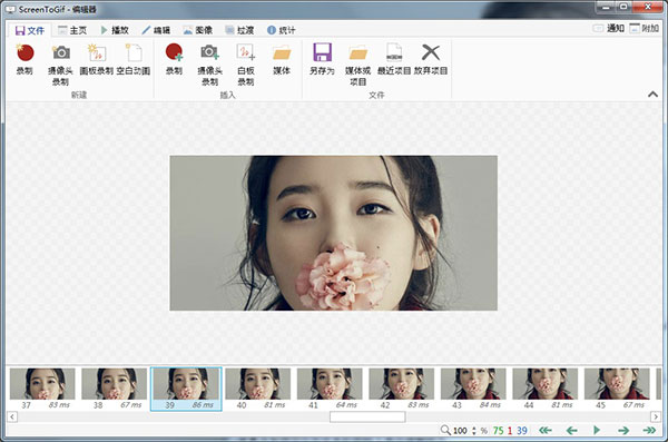 Screen To Gif(GIF动画录制工具)