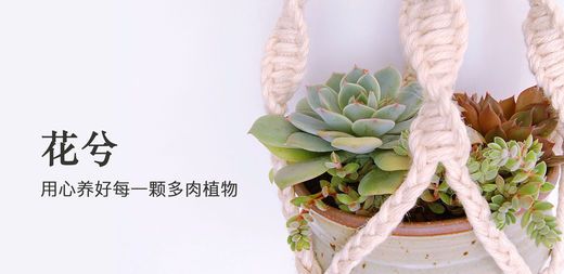 花兮