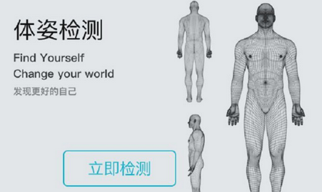 体语