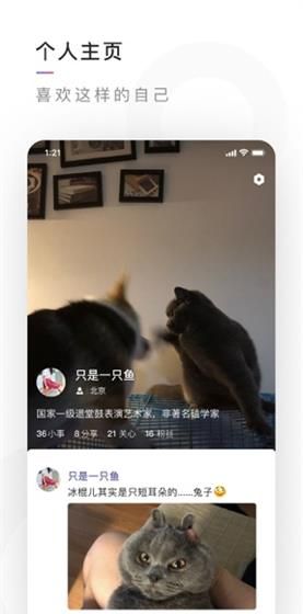 腾讯有记