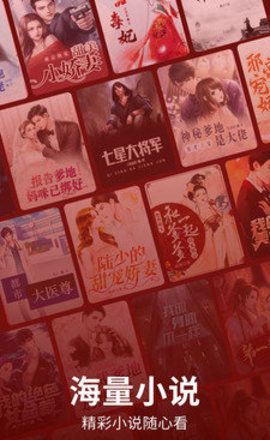 皮皮小说