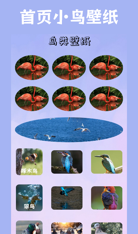 小鸟壁纸