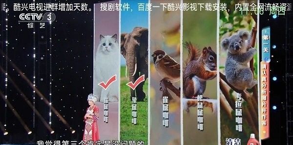 酷兴电视