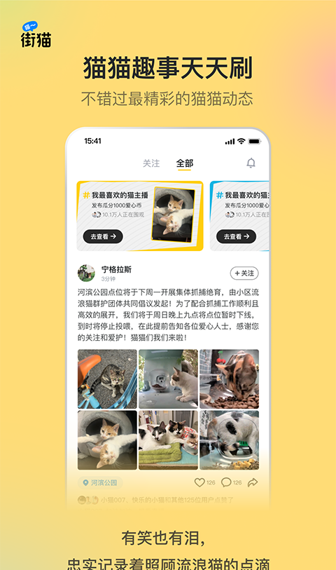 哈啰街猫