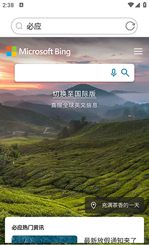 爱搜浏览器