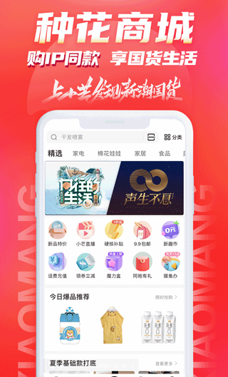 小芒
