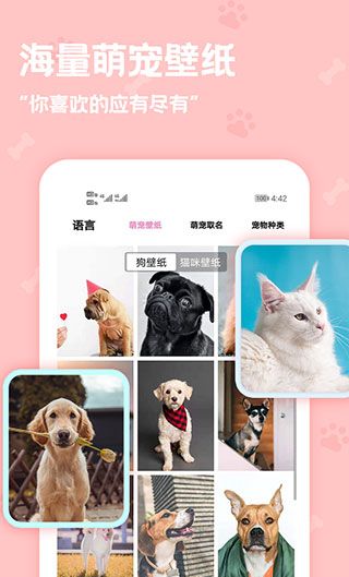 动物语言翻译器