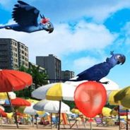 里约：疾步海滩