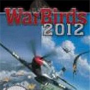 空战英雄2012