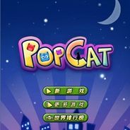 碰碰猫