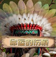 命运的伤痕
