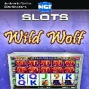 IGT游戏机：野狼