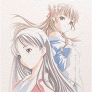 白色相簿