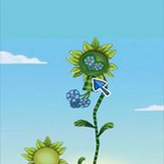 克莱尔的花园工作室