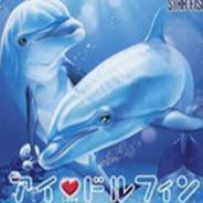我爱海豚