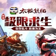 太极熊猫