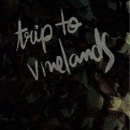 Trip to Vinelands