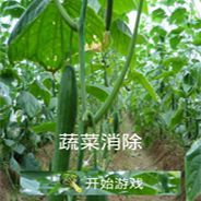 蔬菜消除