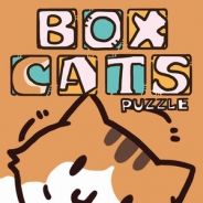 Box Cats Puzzle