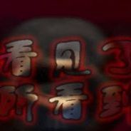 我看到了她所看到的