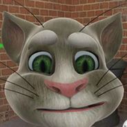 会说话的汤姆猫2