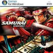 武士2：复仇