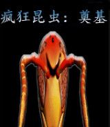 疯狂昆虫：奠基