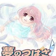 梦之翼