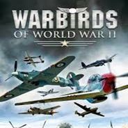 空战英雄：二战航空