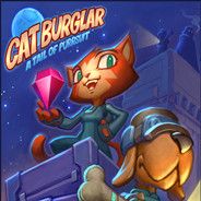 猫贼