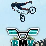 BMX The Game