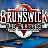Brunswick职业台球