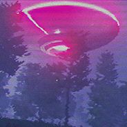 O.V.N.I.绑架