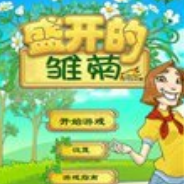 盛开的雏菊
