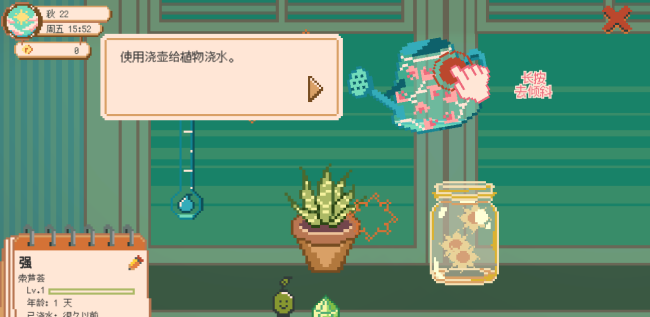 窗口花园