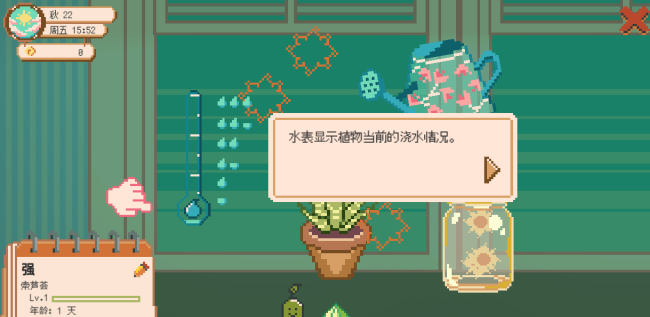 窗口花园